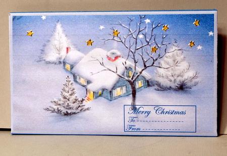 Winter Wonderland Money Wallet by Kristina Norbat