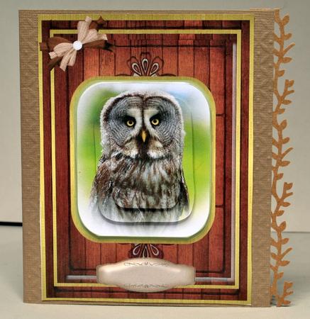 Beautiful Grey Owl ( Pyramarge ) by Kristina Norbat