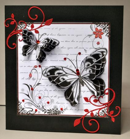 Butterflies by Kristina Norbat