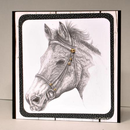 Horse Head in Pencil by Kristina Norbat