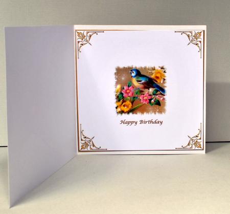 Pretty Bird Insert by Kristina Norbat