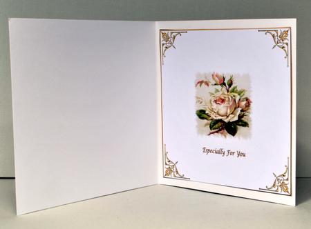 White Rose 8 x 8ins Insert 1 by Kristina Norbat