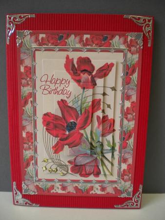 Poppy Birthday Card Front by Kristina Norbat