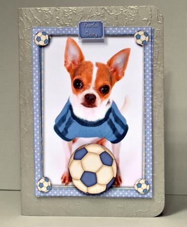 No 1 Football Fan by Kristina Norbat