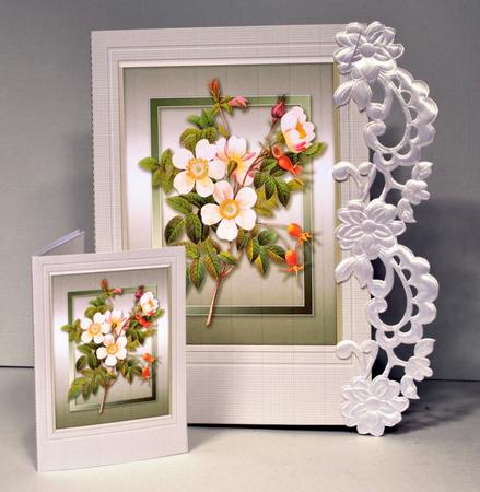 Dog Roses Quick Card by Kristina Norbat