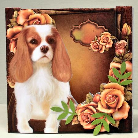 Box Card - King Charles - Mini Kit by Kristina Norbat