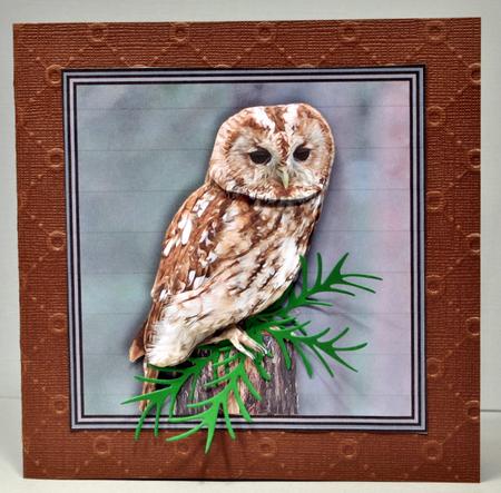 Tawny Owl 3D Decoupage by Kristina Norbat