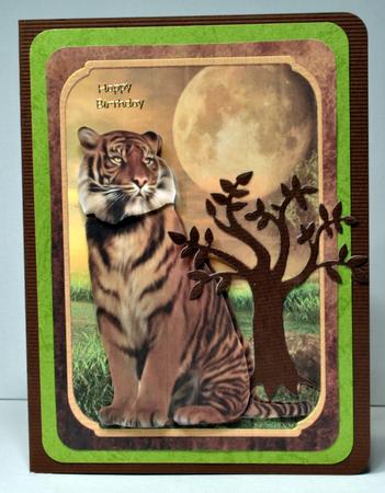 Birthday Tiger by Kristina Norbat