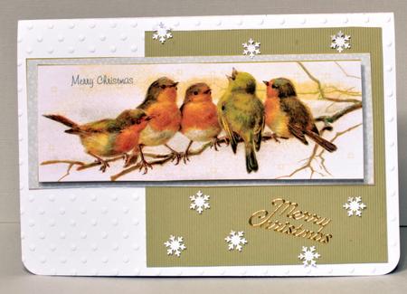 Robin Dl Card Front and Insert by Kristina Norbat
