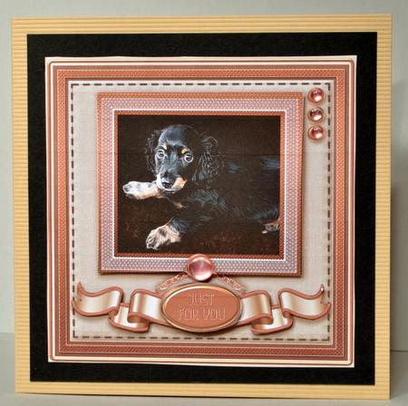 Mini Longhair Dachshund Puppy 8in x 8in Quick Card by Kristina Norbat