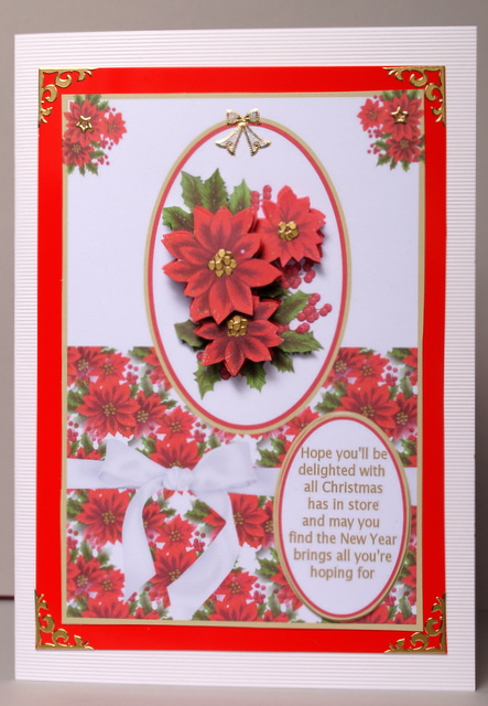Poinsettia Xmas by Kristina Norbat