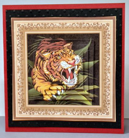 Wild About You Tiger Card Topper & Pyramage by Kristina Norbat