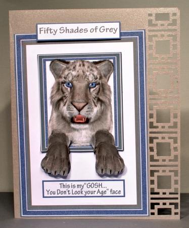 Fifty Shades of Grey Tiger by Kristina Norbat