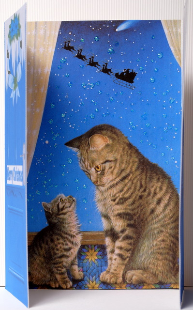 Mum When Will We See Santa, Gatefold by Kristina Norbat