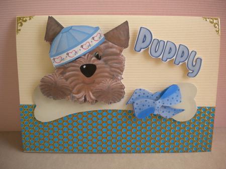 Yorkie the Puppy with a Bone Step by Step by Kristina Norbat
