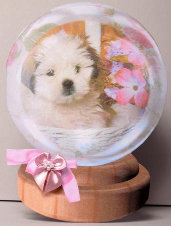 Puppy Snow Globe by Kristina Norbat
