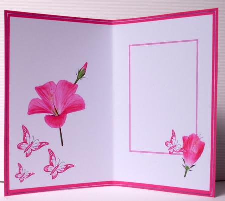 Floral Insert 7 by Kristina Norbat