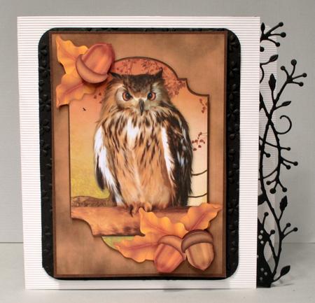 Autumn Owl by Kristina Norbat