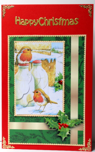 Winter Robin's Breakfast - Best of Both Worlds Card Front by Kristina Norbat