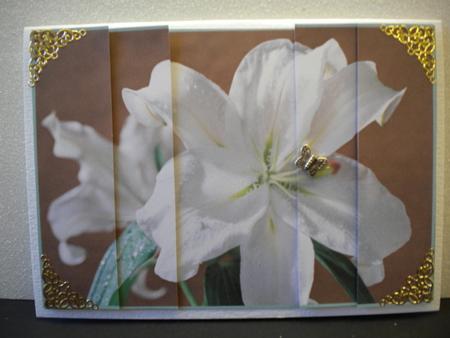 Beautiful White Oriental Lily Side Stacker by Kristina Norbat
