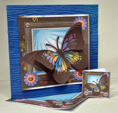 Beautiful Butterfly by Kristina Norbat