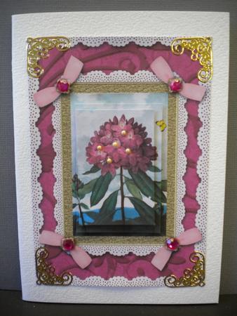 Pink Mountain Flower A5 Lace N Bows Card Front Step by Step by Kristina Norbat