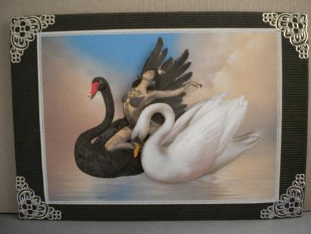 Swan Lake 3 by Kristina Norbat