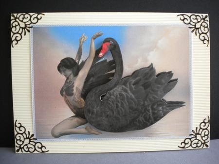 Swan Lake 2 by Kristina Norbat