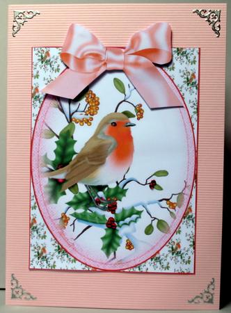 Pretty Robin by Kristina Norbat