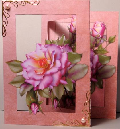 Pink Rose - Concertina by Kristina Norbat