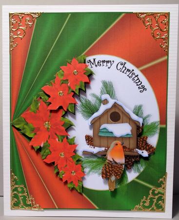 Luxurious Robin an Poinsettias by Kristina Norbat
