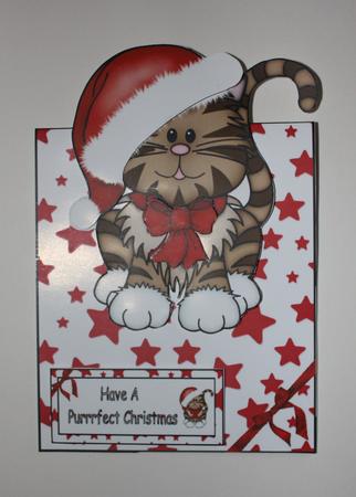 Over the Edge Christmas Cat by Kristina Vincent