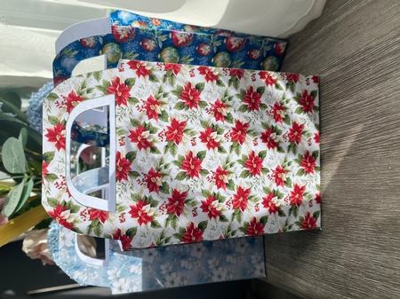 Poinsettia gift bag 12 by Kym Barry