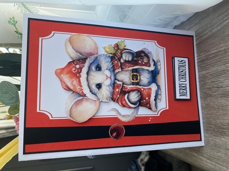 CHRISTMAS MOUSE A5 by Kym Barry