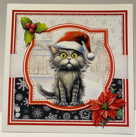 CRAZY CHRISTMAS CATS by Kym Barry