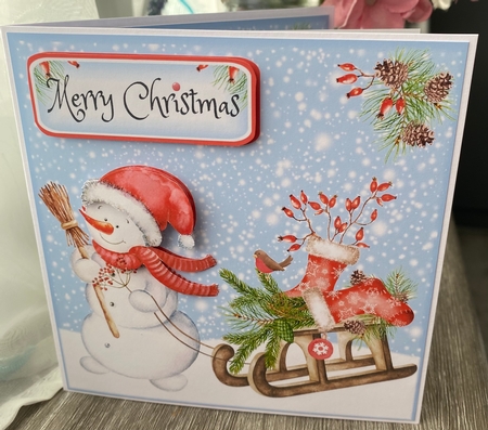Snowmen Sleigh & Friends Quick Cards Set by Kym Barry