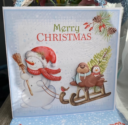 Snowmen Sleigh & Friends Quick Cards Set by Kym Barry