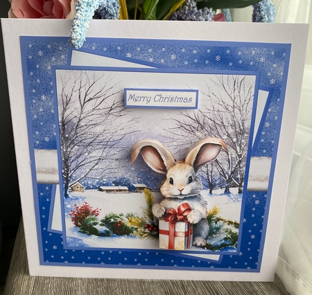 Christmas rabbit insert by Kym Barry