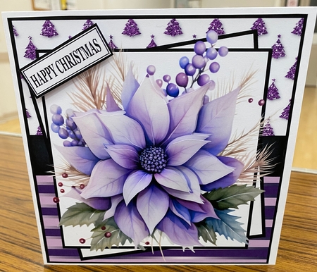 PURPLE POINSETTIA by Kym Barry