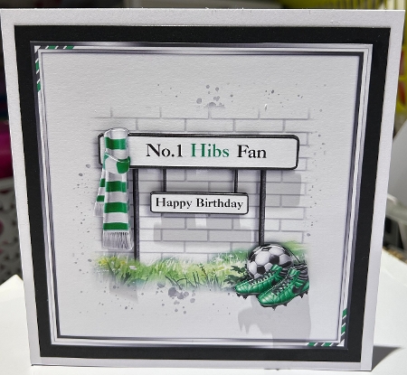 No.1 Hibs Fan by Kym Barry