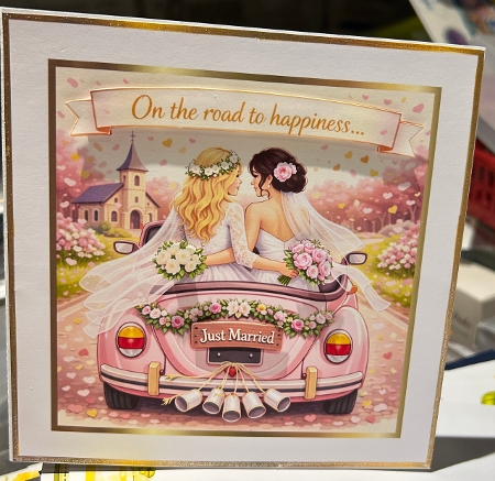 the girls are getting married by Kym Barry