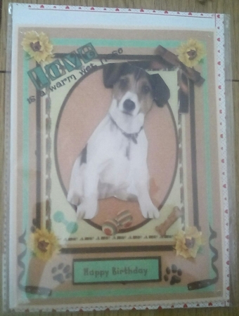 Lovely Proud Jack Russell Dog Featured Gallery Photo