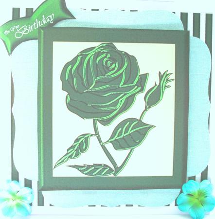 Glossy Rose by Kym Pendered