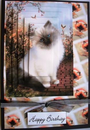 Graceful Kitten on the Terrace - Pyramid by Kym Pendered