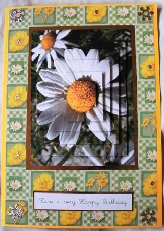 Daisy Pyramid by Kym Pendered