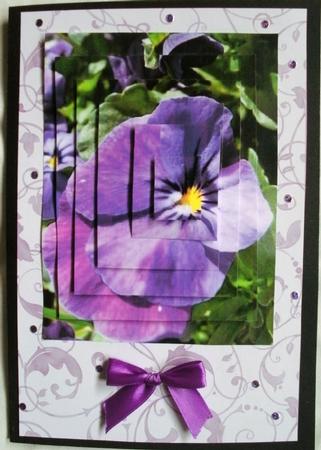 Pretty Pansy Pyramid by Kym Pendered