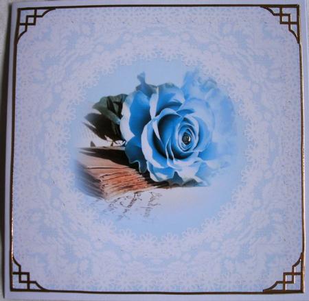 Romantic Blue Rose by Kym Pendered