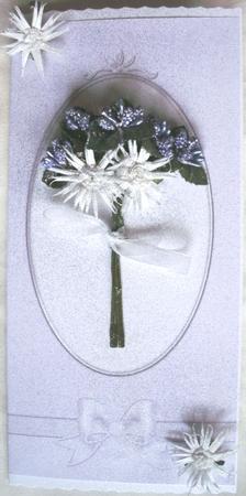 Dl Fancy Bow Card Front or Insert by Kym Pendered