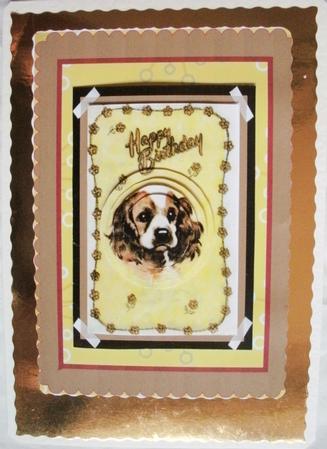 Cute Spaniel by Kym Pendered