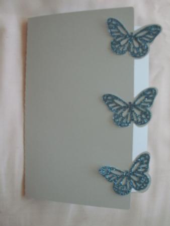 Butterfly Edge by Kym Pendered